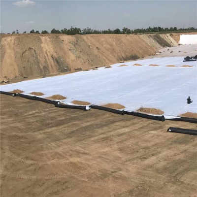 營口鋼塑土工格柵廠家今日?qǐng)?bào)價(jià)及市場(chǎng)行情分析