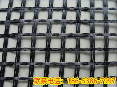 2021年貴州貴陽實(shí)業(yè)集團(tuán) 150KN鋼塑土工格柵的技術(shù)優(yōu)勢與應(yīng)用前景